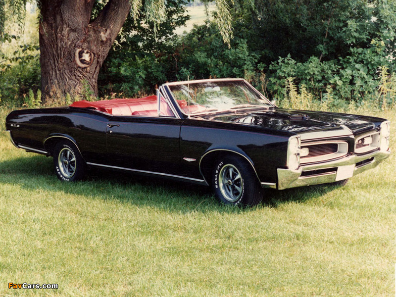Photos of Pontiac Tempest GTO Convertible 1966 (800 x 600)