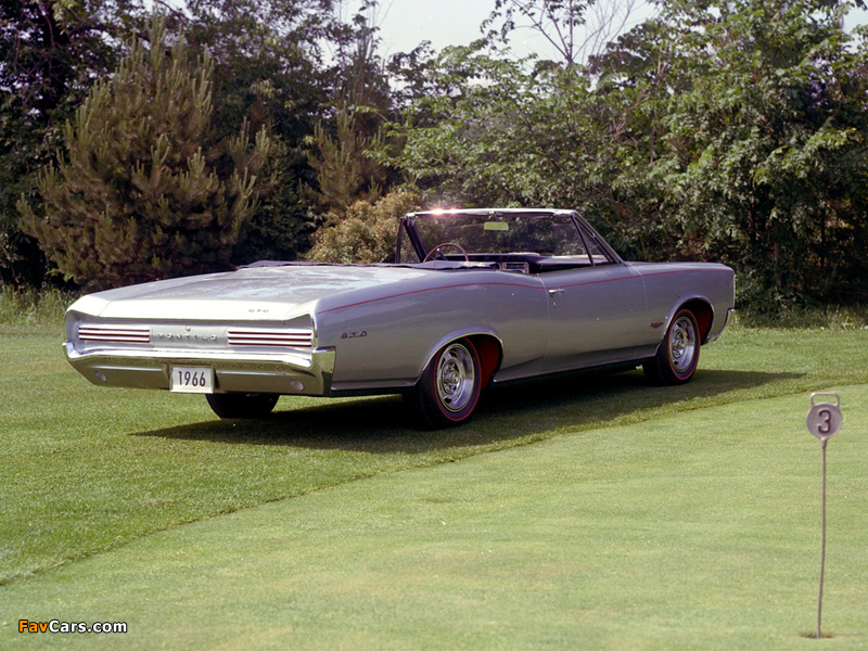 Pictures of Pontiac Tempest GTO Convertible 1966 (800 x 600)