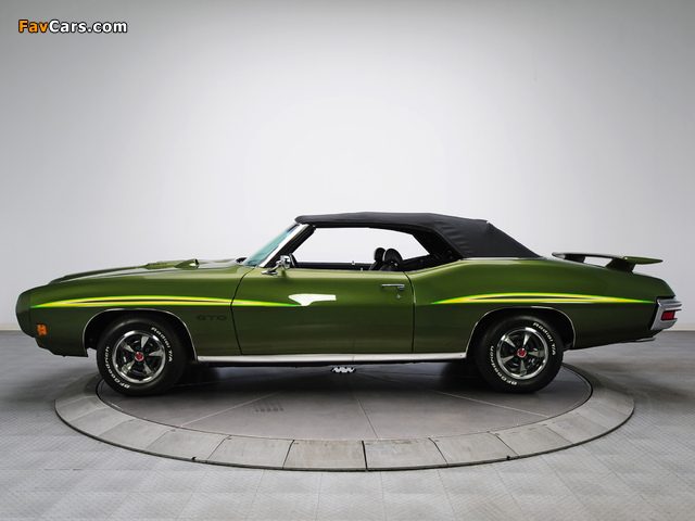 Pictures of Pontiac GTO The Judge Convertible (4267) 1970 (640 x 480)
