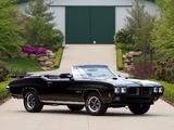 Pontiac GTO Convertible (4267) 1970 pictures