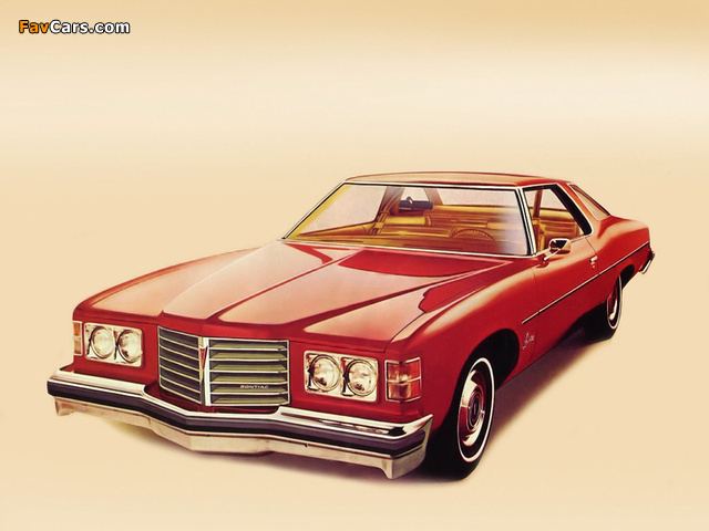 Pictures of Pontiac Laurentian 1976 (640 x 480)