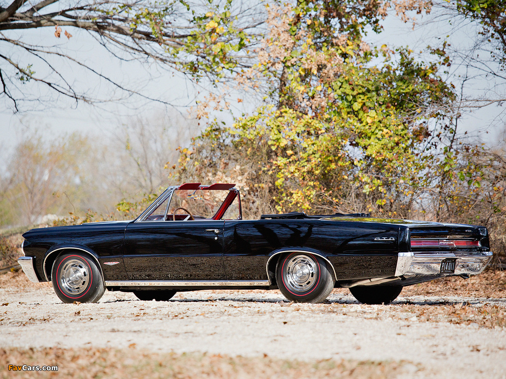 Pontiac Tempest LeMans GTO Convertible 1964 images (1024 x 768)