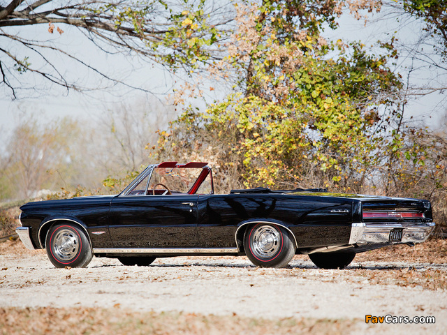 Pontiac Tempest LeMans GTO Convertible 1964 images (640 x 480)