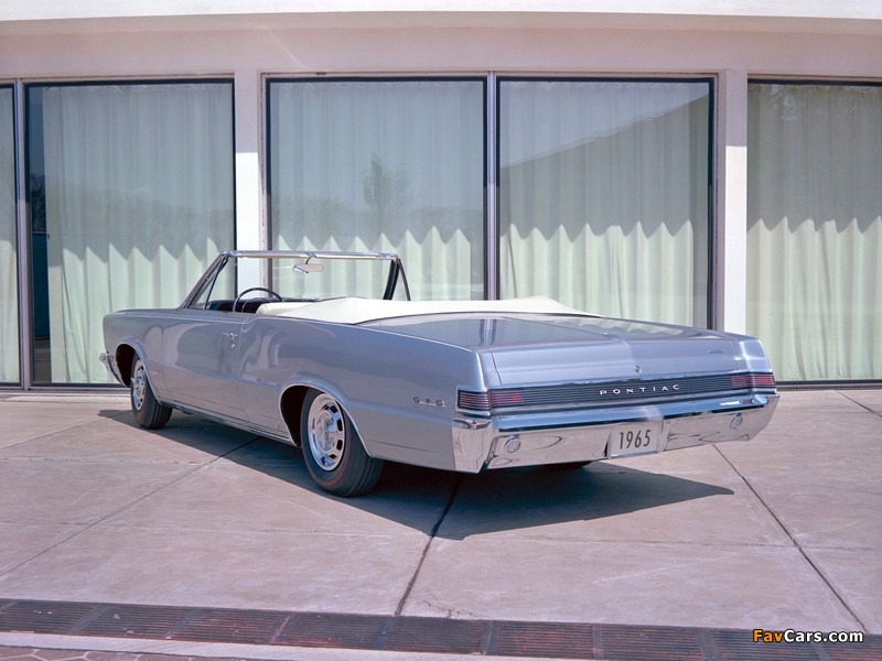 Pontiac Tempest LeMans GTO Convertible 1965 photos (800 x 600)