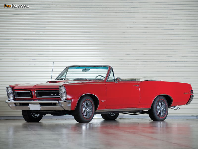 Pontiac Tempest LeMans GTO Convertible 1965 wallpapers (800 x 600)