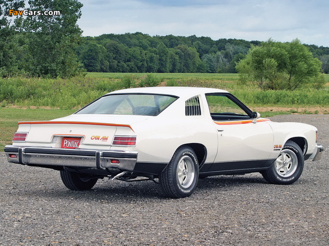 Pontiac LeMans Can Am 1977 wallpapers (640 x 480)