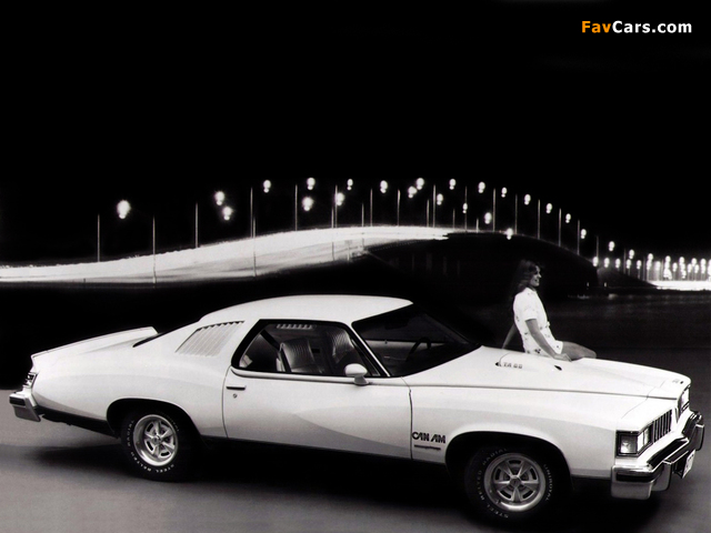 Pontiac LeMans Can Am 1977 wallpapers (640 x 480)