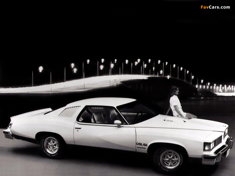 Pontiac LeMans Can Am 1977 wallpapers (800 x 600)