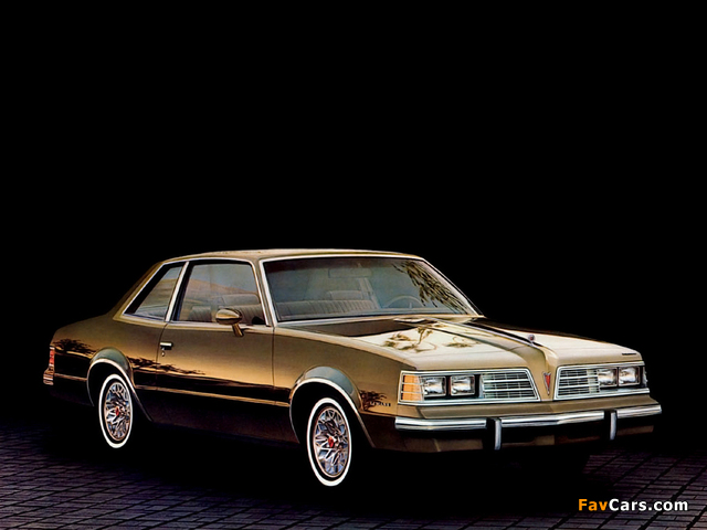 Pontiac LeMans Coupe 1981 wallpapers (640 x 480)
