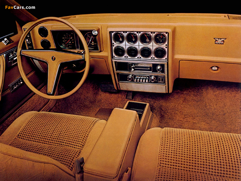 Images of Pontiac Phoenix LJ 1980 (800 x 600)