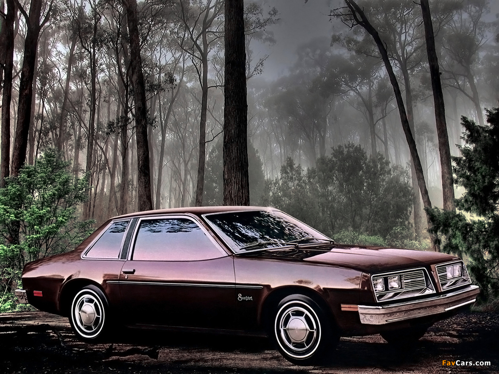 Images of Pontiac Sunbird Coupe (2H-E27) 1979 (1024 x 768)