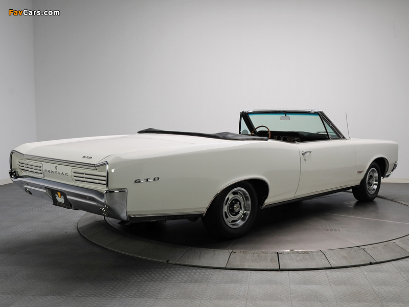 Images of Pontiac Tempest GTO Convertible 1967 (800 x 600)