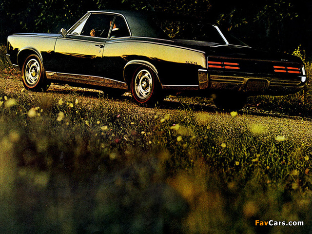 Images of Pontiac Tempest GTO Coupe 1967 (640 x 480)