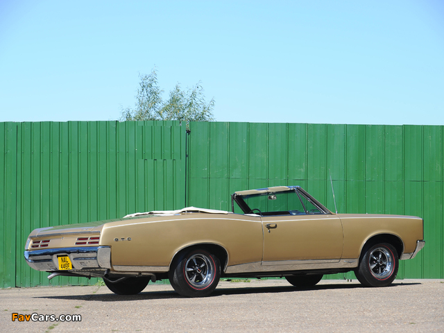 Pictures of Pontiac Tempest GTO Convertible 1967 (640 x 480)