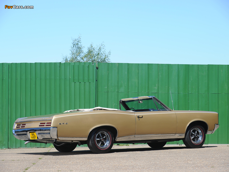 Pictures of Pontiac Tempest GTO Convertible 1967 (800 x 600)