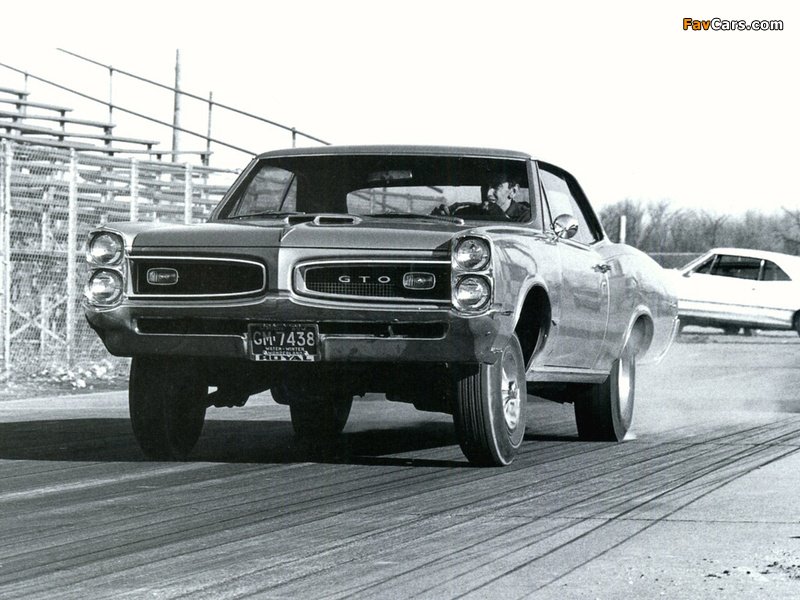 Pontiac Tempest GTO Royal Bobcat 1966 pictures (800 x 600)