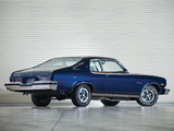 Pontiac Ventura Custom GTO Coupe 1974 photos