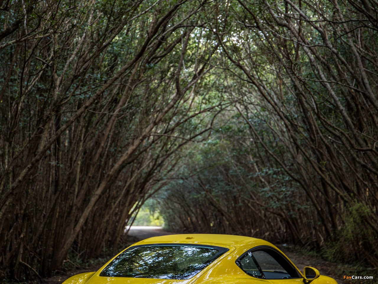 Porsche 718 Cayman S North America (982C) 2016 images (1280 x 960)