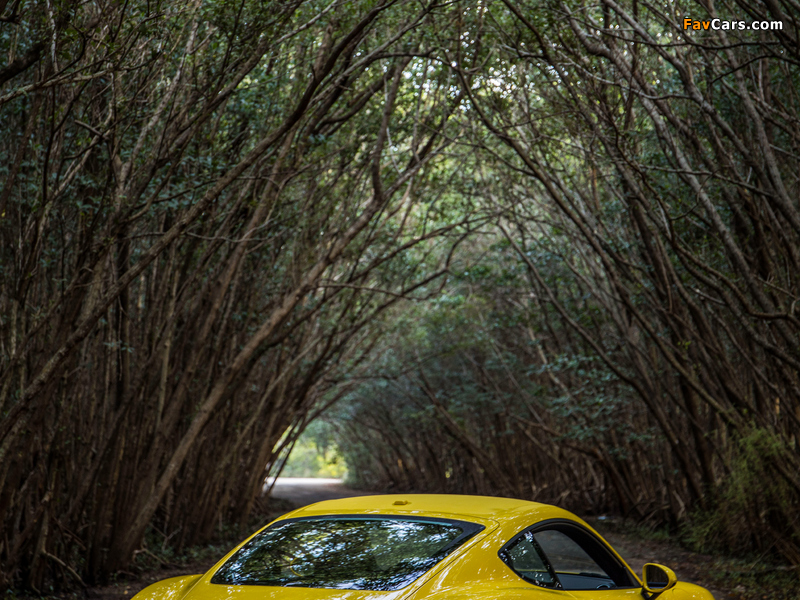 Porsche 718 Cayman S North America (982C) 2016 images (800 x 600)