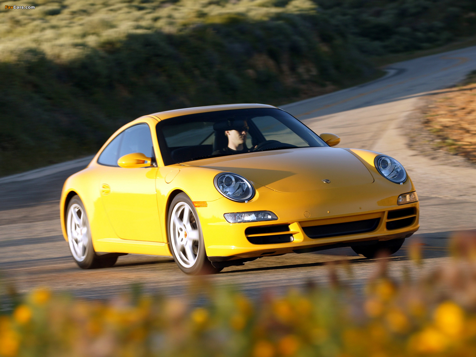 Porsche 911 Carrera Coupe US-spec (997) 2005–08 pictures (1600 x 1200)