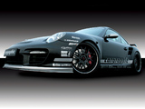 Images of Cargraphic GT RSC 3.6 (997) 2009