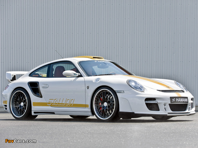 Images of Hamann Stallion (997) 2008 (640 x 480)