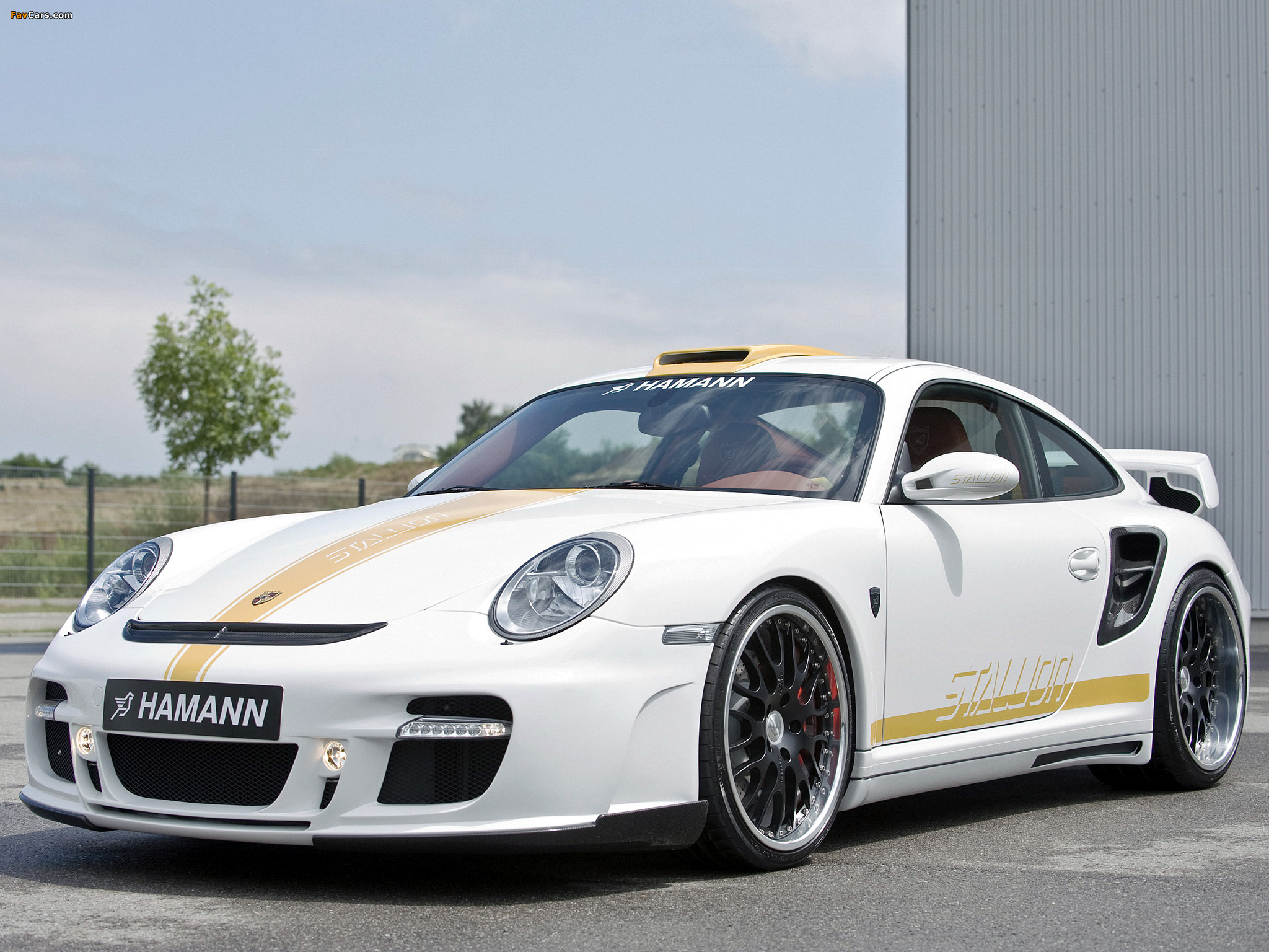 Pictures of Hamann Stallion (997) 2008 (2048 x 1536)