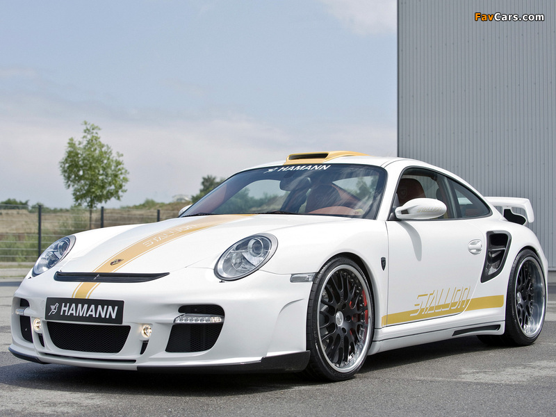 Pictures of Hamann Stallion (997) 2008 (800 x 600)