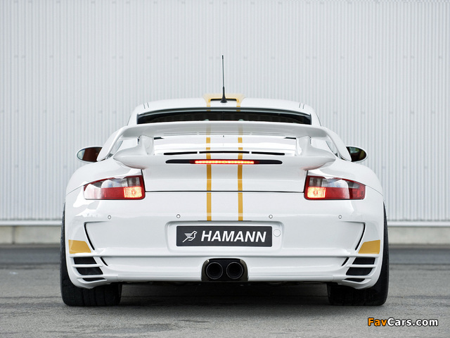 Hamann Stallion (997) 2008 photos (640 x 480)