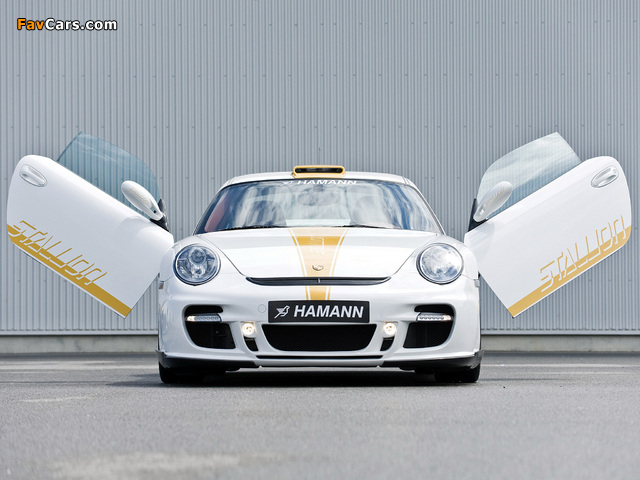 Hamann Stallion (997) 2008 pictures (640 x 480)