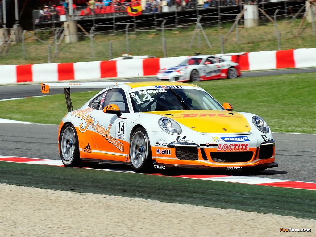 Images of Porsche 911 GT3 Cup (991) 2013 (1024 x 768)