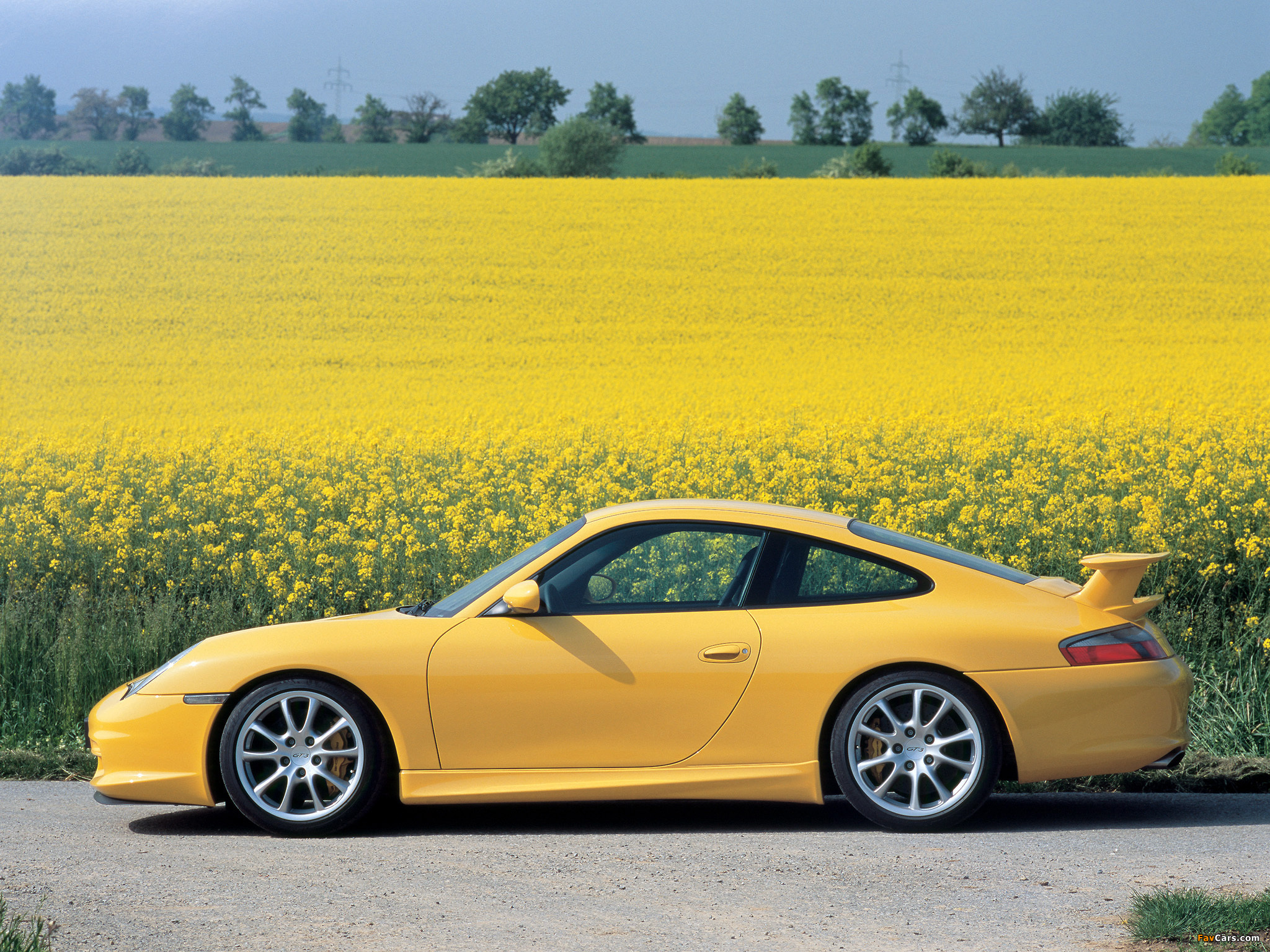 Pictures of Porsche 911 GT3 (996) 2003–05 (2048 x 1536)