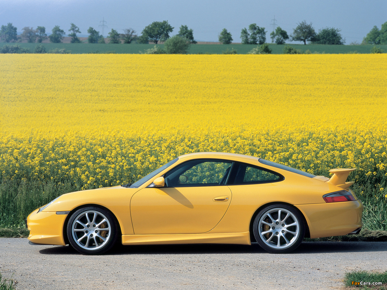 Pictures of Porsche 911 GT3 (996) 2003–05 (1280 x 960)