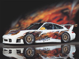Pictures of Porsche 911 GT3 R (996) 1999–2000