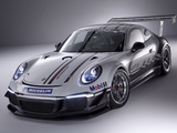 Porsche 911 GT3 Cup (991) 2013 images