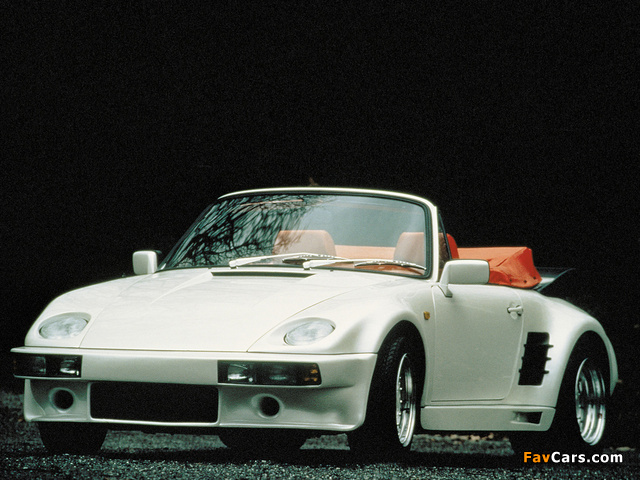 Rinspeed Porsche R39 (930) 1989 images (640 x 480)