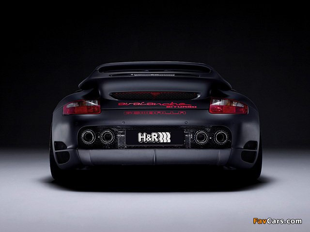 Gemballa Avalanche GTR 600 Roadster (997) 2008 images (640 x 480)