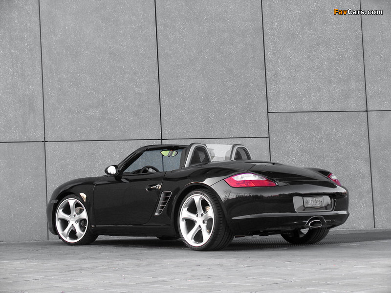 Photos of TechArt Porsche Boxster (987) 2006–08 (800 x 600)