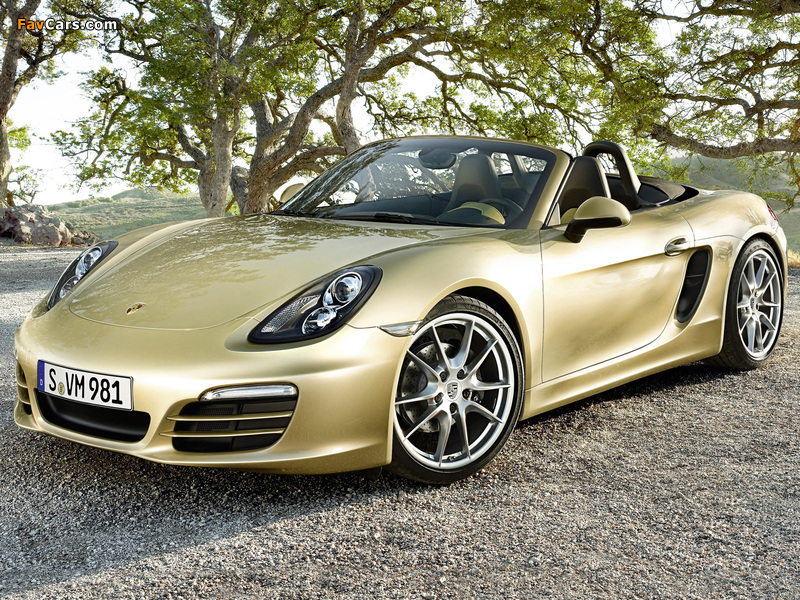 Pictures of Porsche Boxster (981) 2012 (800 x 600)