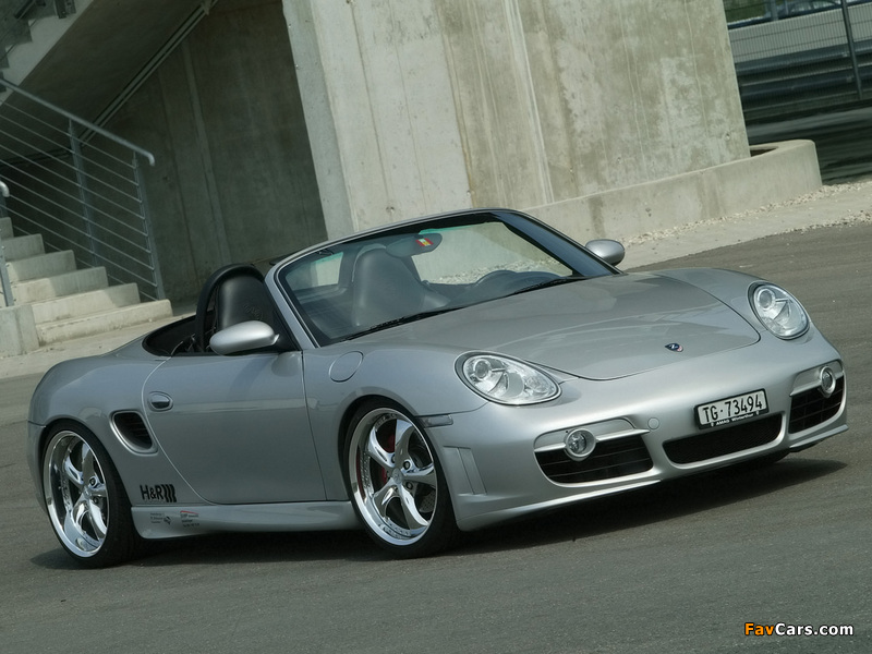 Z-Art Porsche Boxster (987) 2006 photos (800 x 600)