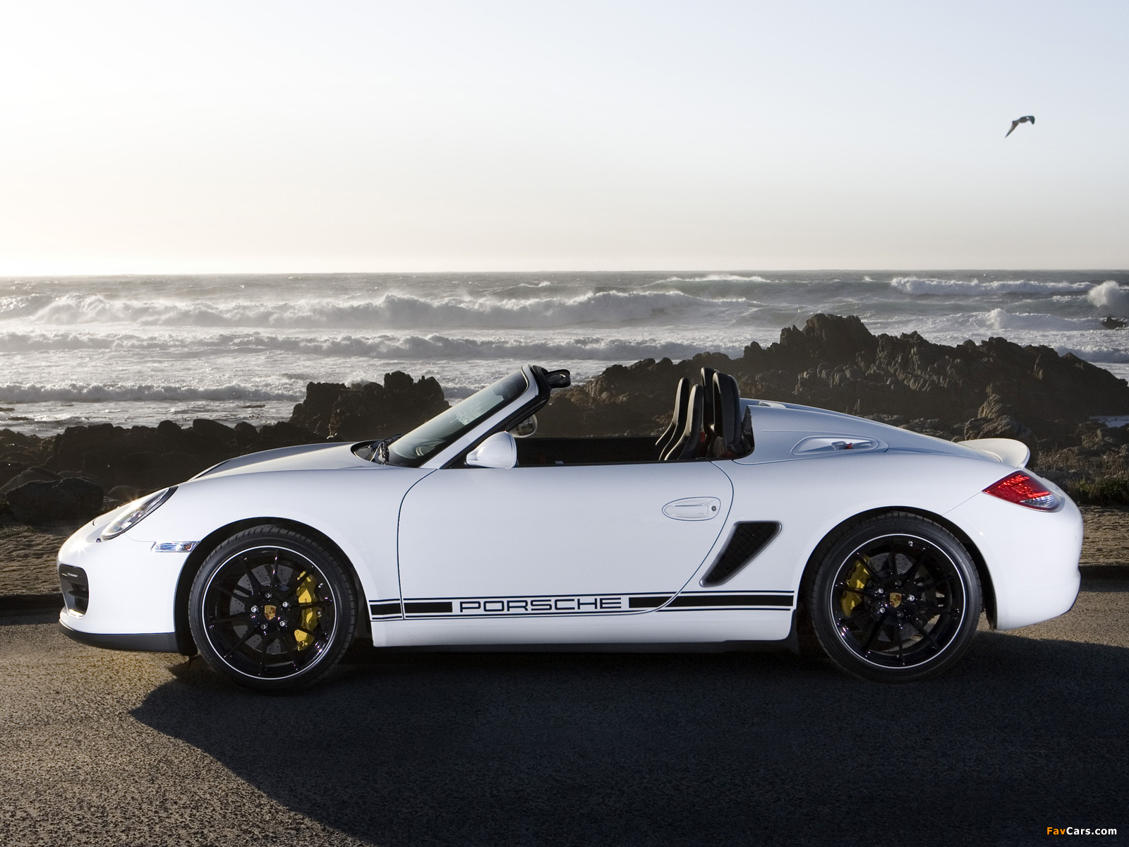 Porsche Boxster Spyder (987) 2010 images (1600 x 1200)