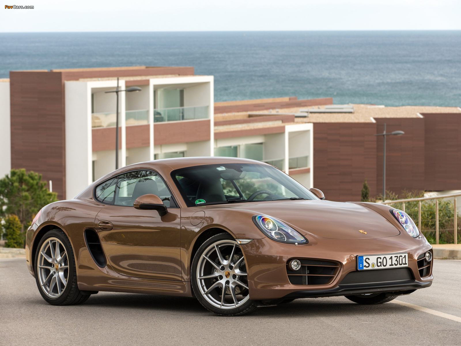 Images of Porsche Cayman (981C) 2013 (1600 x 1200)