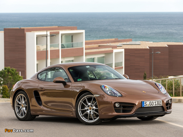 Images of Porsche Cayman (981C) 2013 (640 x 480)