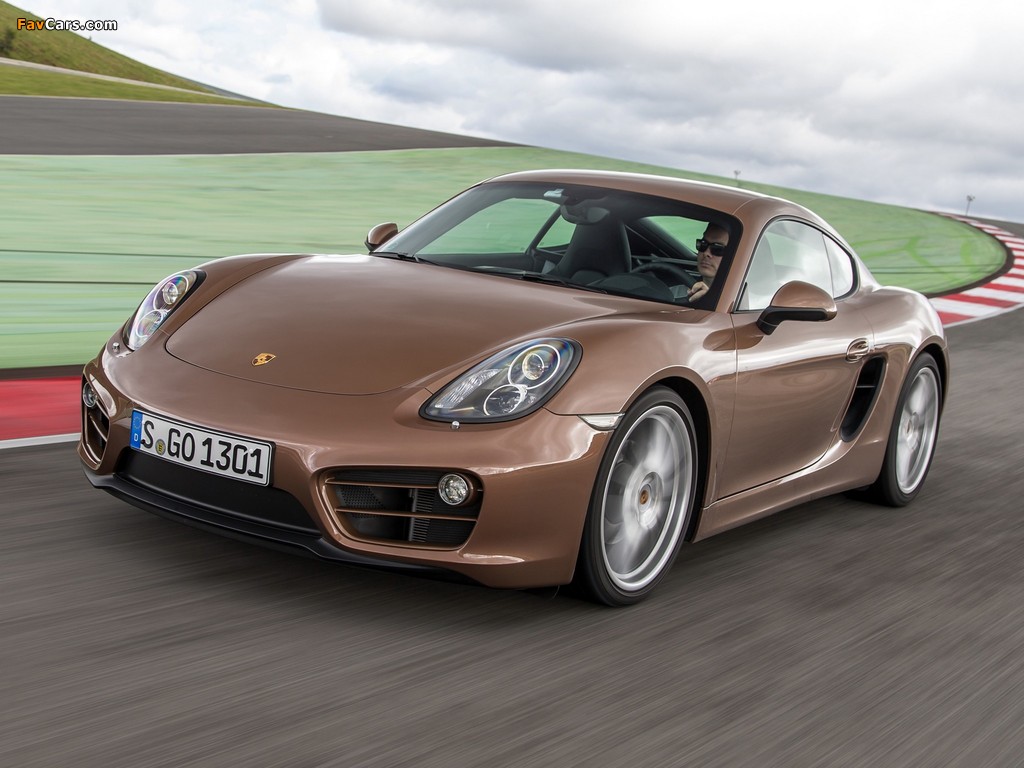 Images of Porsche Cayman (981C) 2013 (1024 x 768)