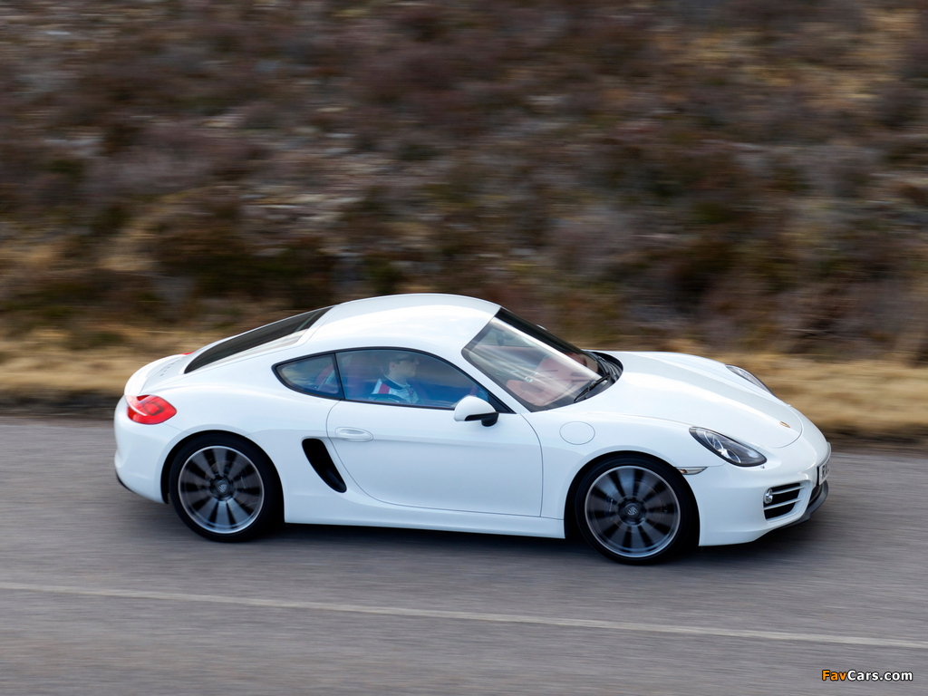 Images of Porsche Cayman UK-spec (981C) 2013 (1024 x 768)