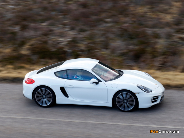 Images of Porsche Cayman UK-spec (981C) 2013 (640 x 480)