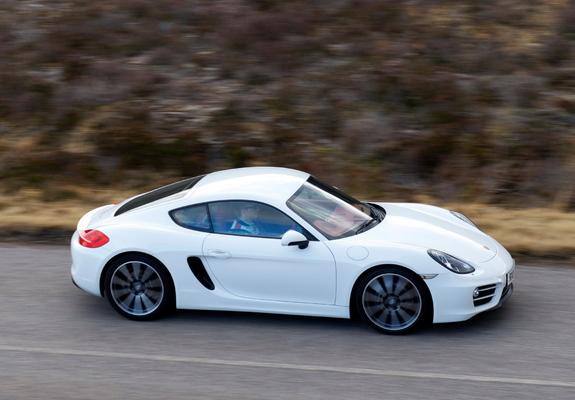 Images of Porsche Cayman UK-spec (981C) 2013