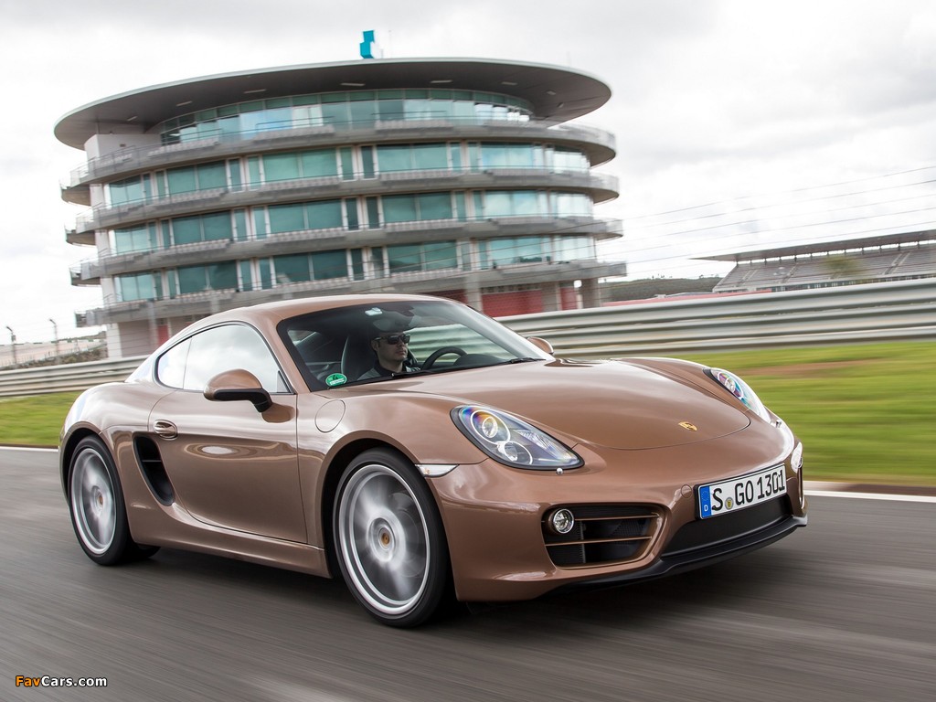 Images of Porsche Cayman (981C) 2013 (1024 x 768)