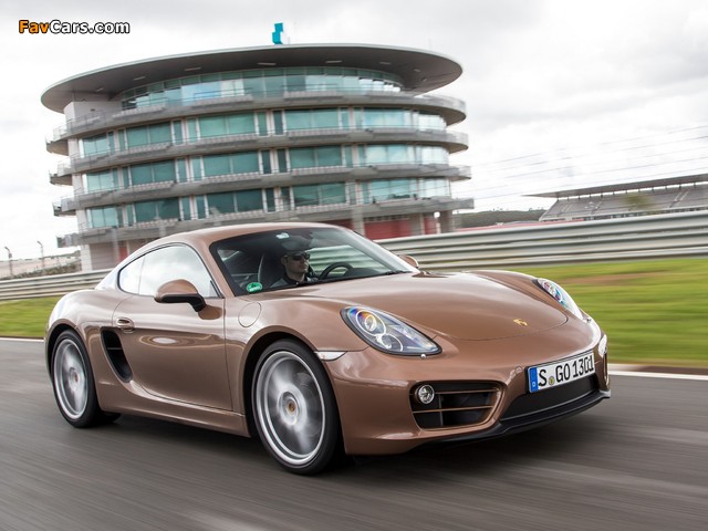 Images of Porsche Cayman (981C) 2013 (640 x 480)