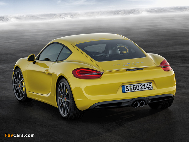 Images of Porsche Cayman S (981C) 2013 (640 x 480)